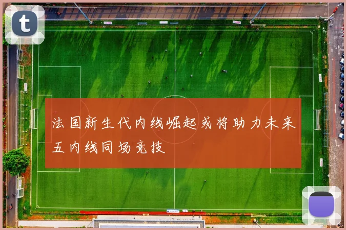 法国新生代内线崛起或将助力未来五内线同场竞技