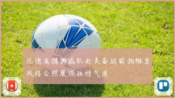 厄德高携挪威队赴美备战前拍维京风格合照展现独特气质